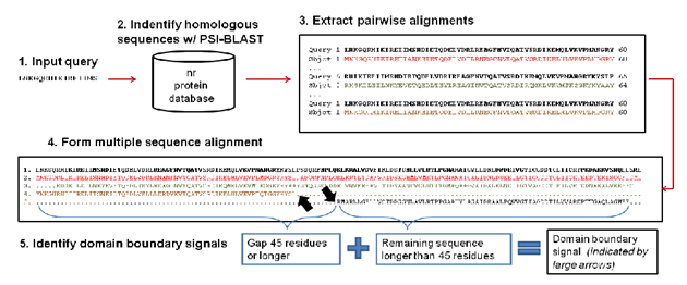 http://sysbio.rnet.missouri.edu/dobo/figure1.png